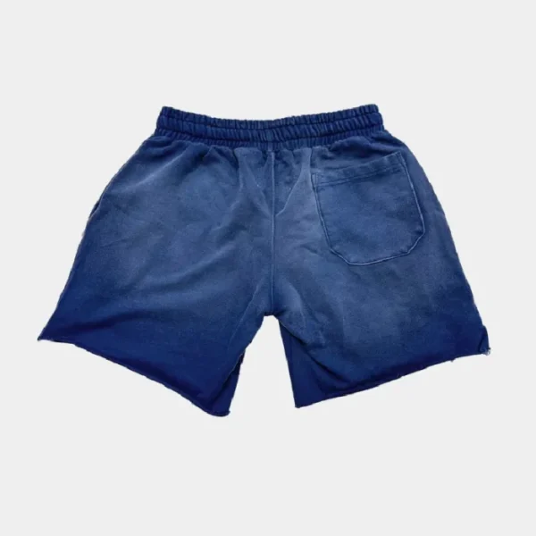 Vertabrae Double Emblem Shorts Blue (2)