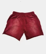 Vertabrae Double Emblem Shorts Red (2)