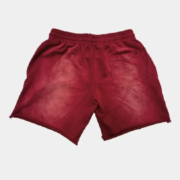 Vertabrae Double Emblem Shorts Red (2)